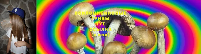 Галлюциногенные грибы Magic Shrooms Нарткала